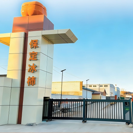 冰柿展示